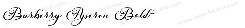 Burberry Apercu Bold字体转换
